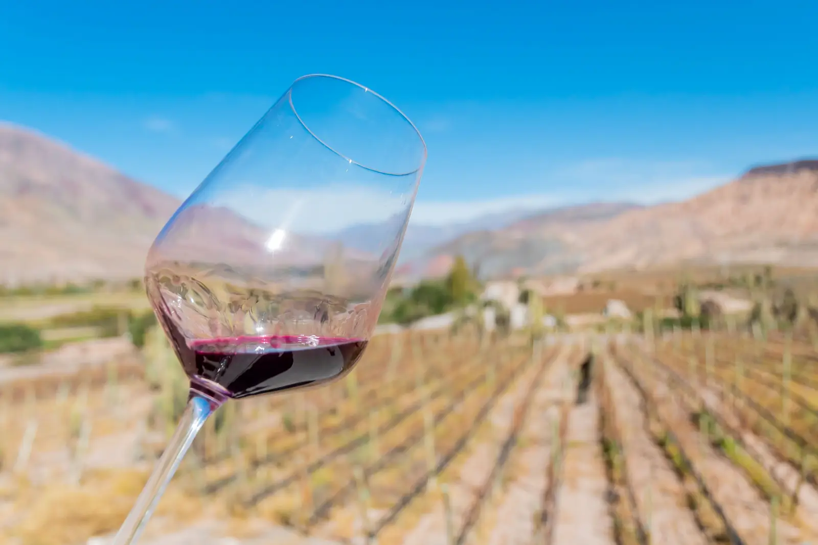 Caminos del vino